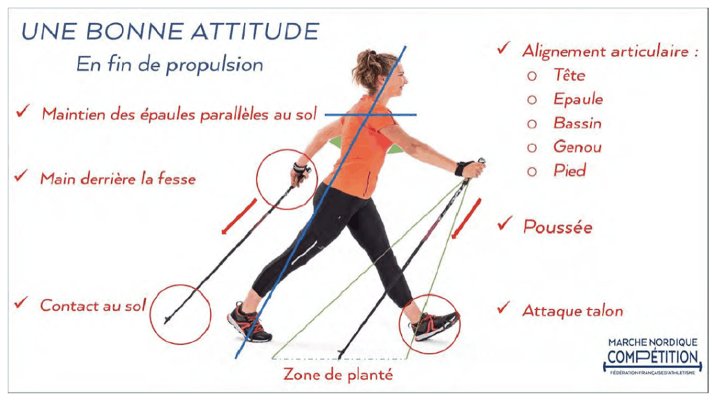 Bonne attitude marche nordique